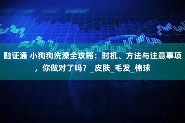 融证通 小狗狗洗澡全攻略：时机、方法与注意事项，你做对了吗？_皮肤_毛发_棉球