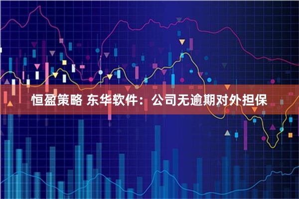 恒盈策略 东华软件：公司无逾期对外担保