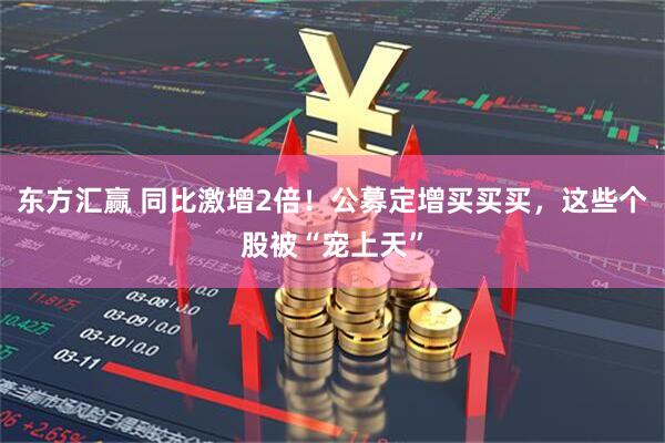 东方汇赢 同比激增2倍!公募定增买买买,这些个股被“宠上天”